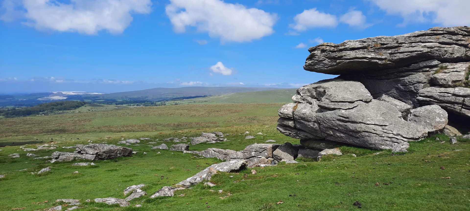 Dartmoor tor